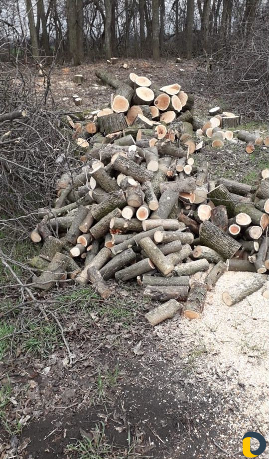 Дрова