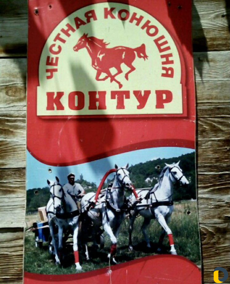 Джиппинг Рыбалка Конные прогулки Парашюты