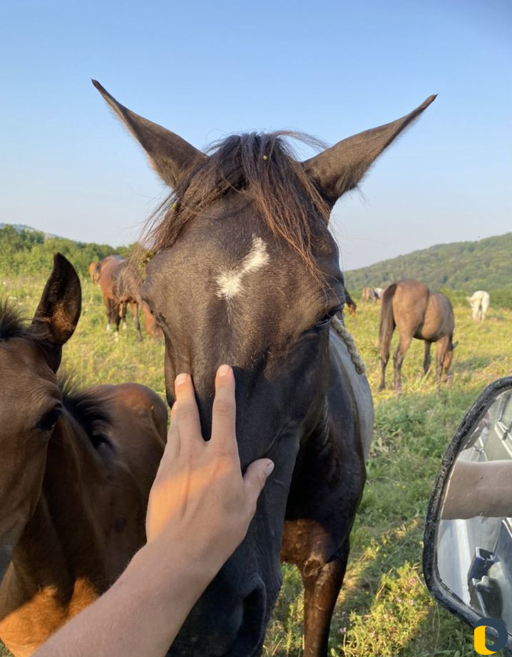 Джиппинг в горы, дольмены, водопады экскурсия