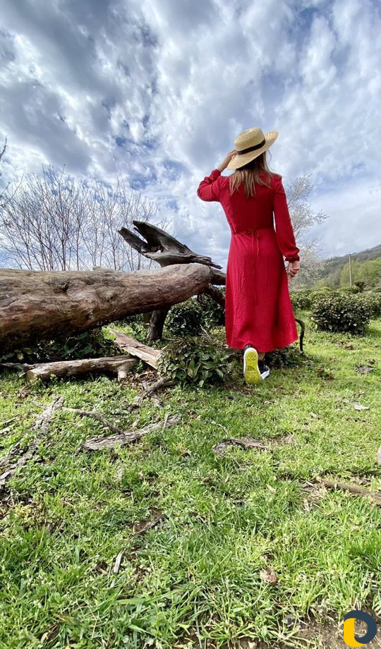 Экскурсии по Абхазии с гидом и без