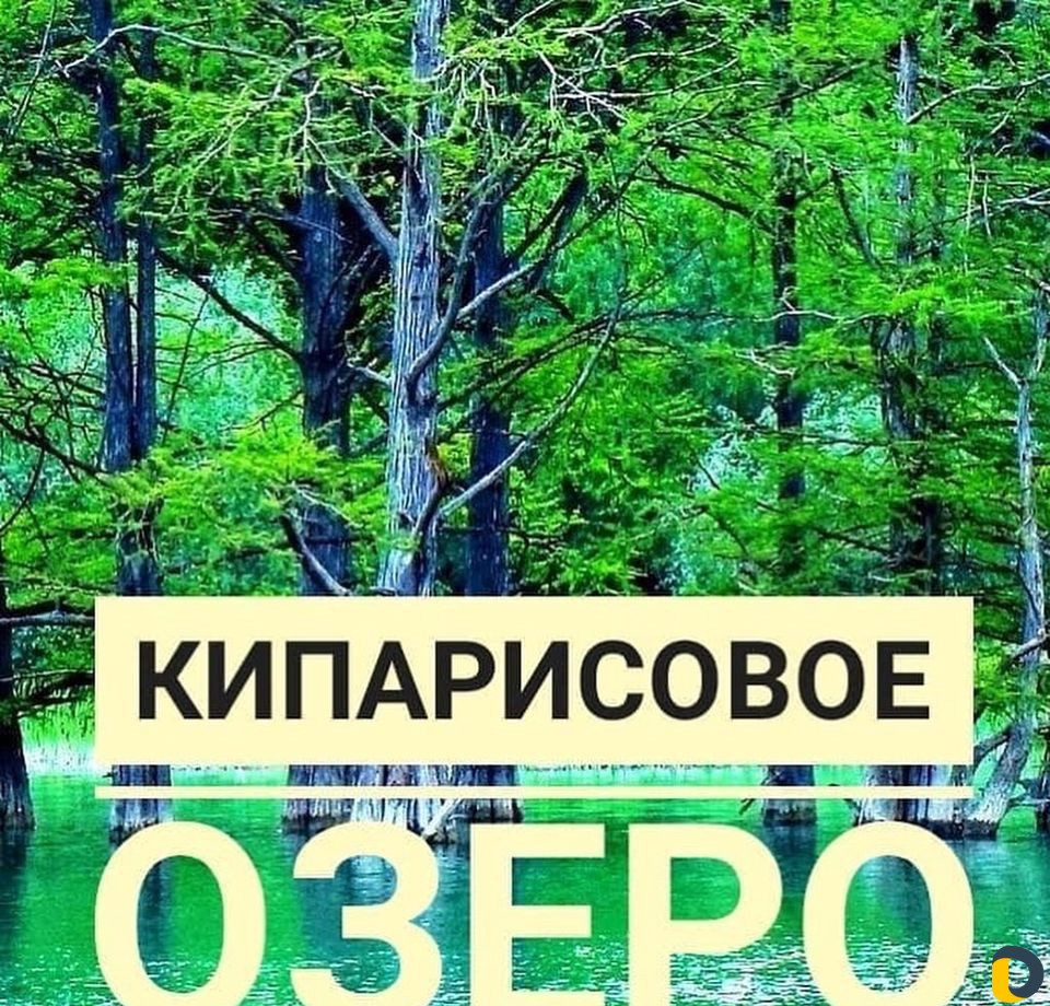 Экскурсии -шок тур,рыбалка,кипарисовое озеро,парап