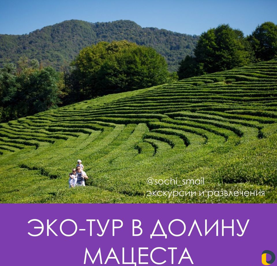 Экскурсии. Сочи, Адлер, Абхазия