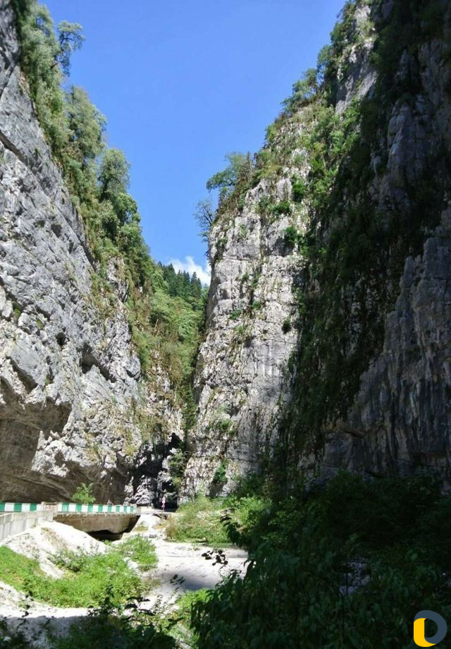 Экскурсии в Абхазию и Сочи