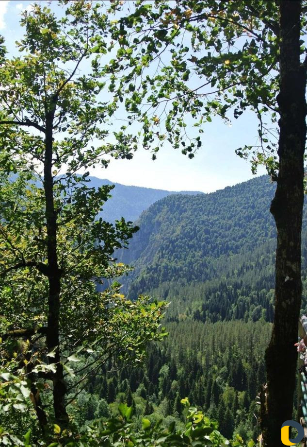 Экскурсии в Абхазию и Сочи