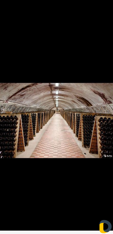 Экскурсия в Абрау-Дюрсо