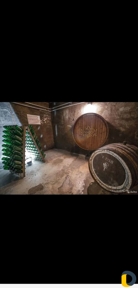 Экскурсия в Абрау-Дюрсо