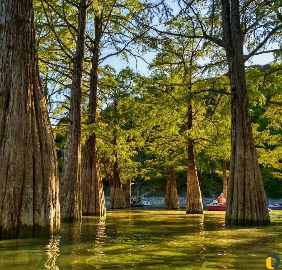 Экскурсия в Лагуну, Джиппинг, Рыбалка, Дайвинг