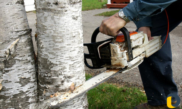 Электрик сантехник и дт