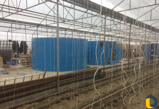 Емкости для воды