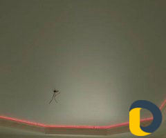 Фабрика натяжных потолков "Премиум"