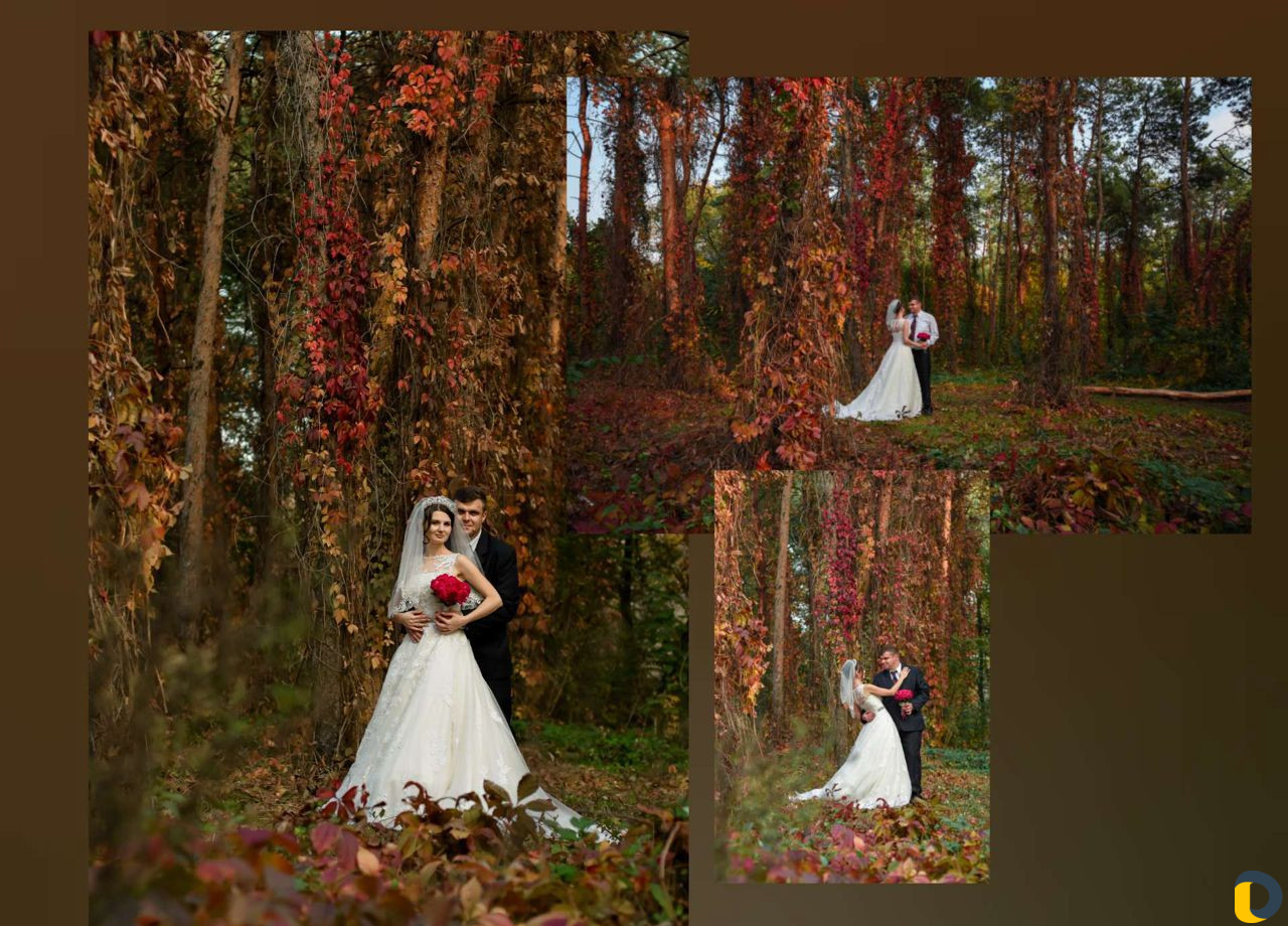 Фотограф Фотосъемка Фотокниги