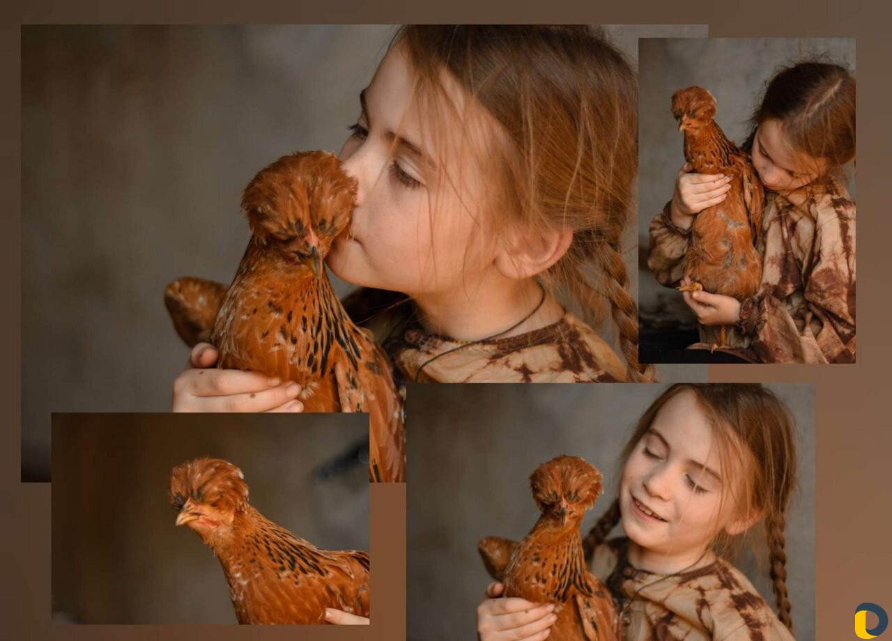 Фотограф Фотосъемка Фотокниги