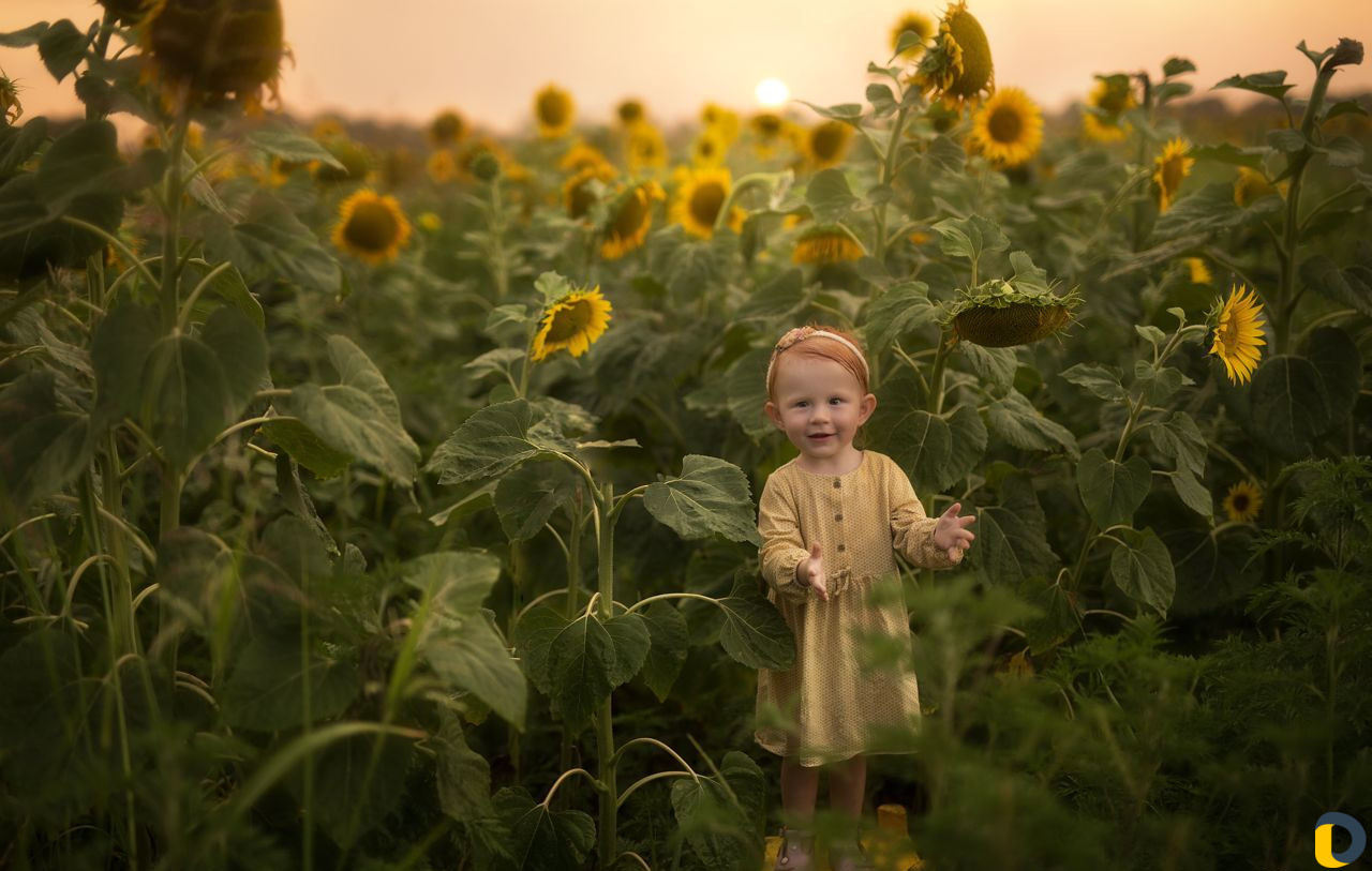 Фотограф