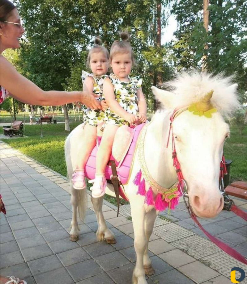 Фотосесии с лошадьми и пони