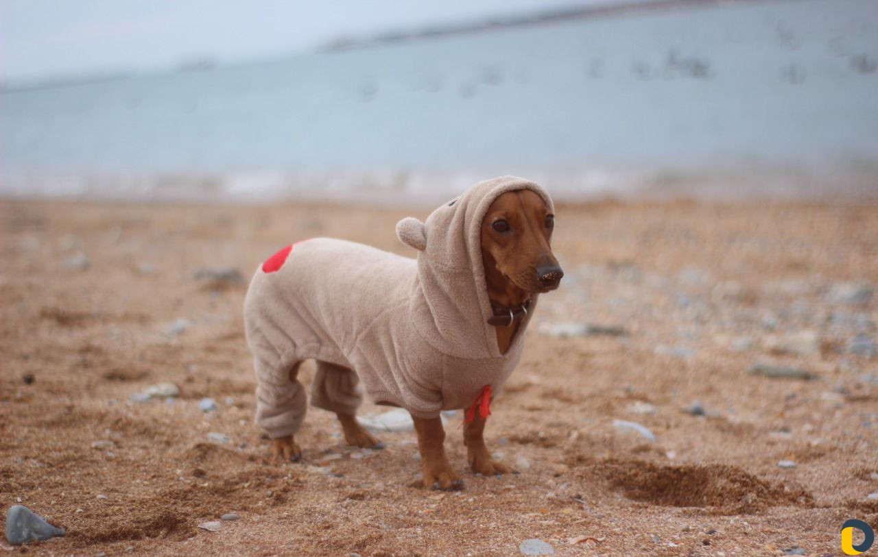 Фотосессии