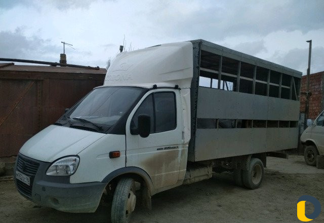 Газель скотовоз все вопросы по телефону