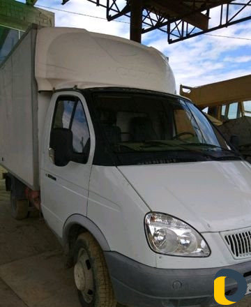 Газель