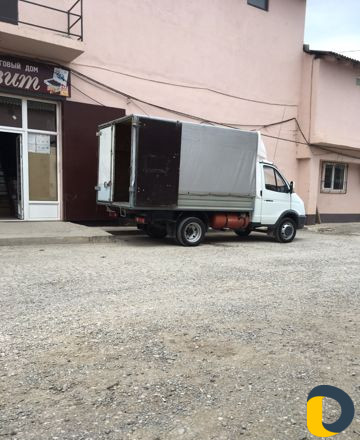 Газель