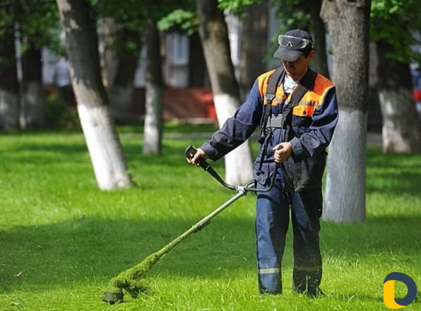 Газона Косилшик