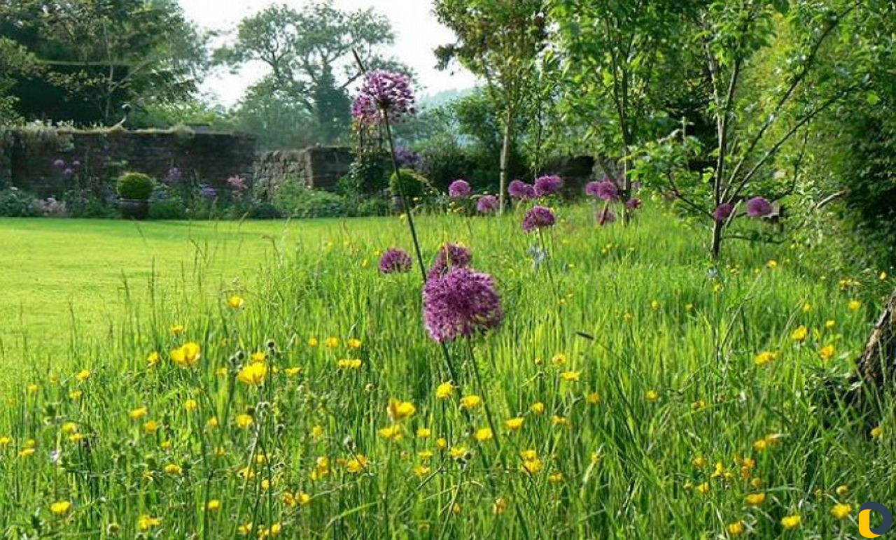 Газоны рулонные,искусственные,посевные