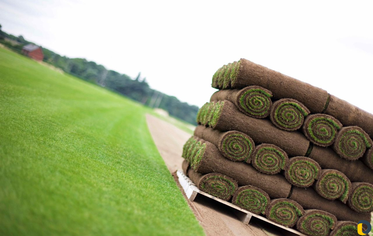 Газоны рулонные,искусственные,посевные