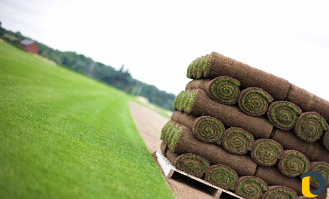 Газоны рулонные,искусственные,посевные