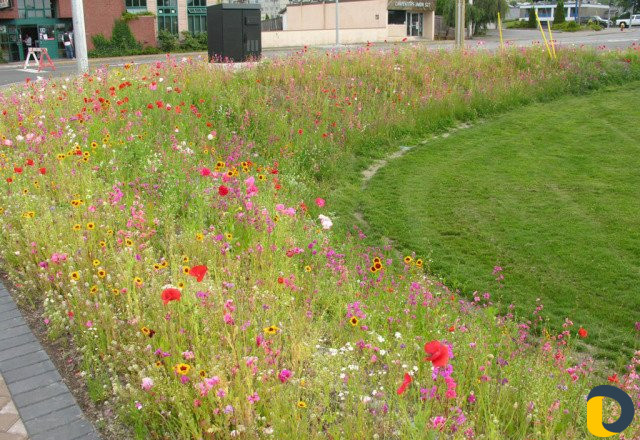 Газоны рулонные,искусственные,посевные