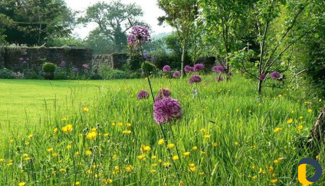 Газоны рулонные,искусственные,посевные