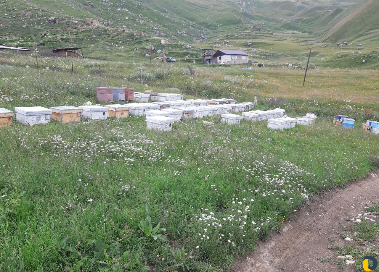 Гид экскурсовод