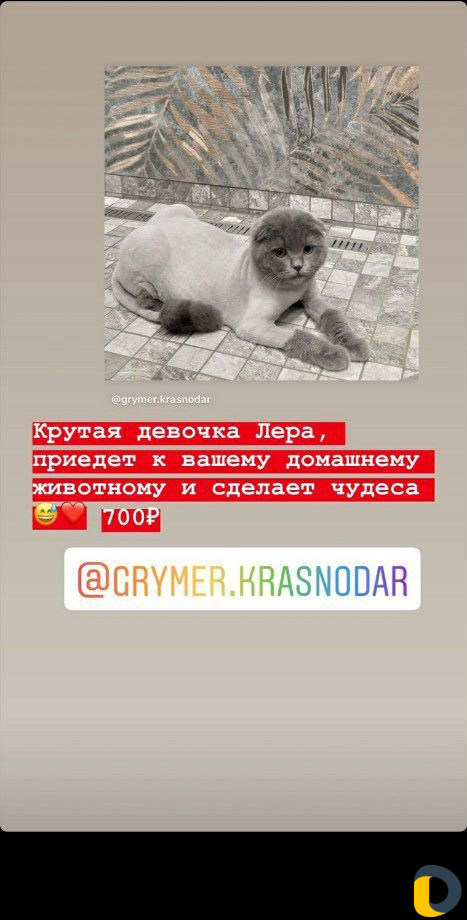 Грумер