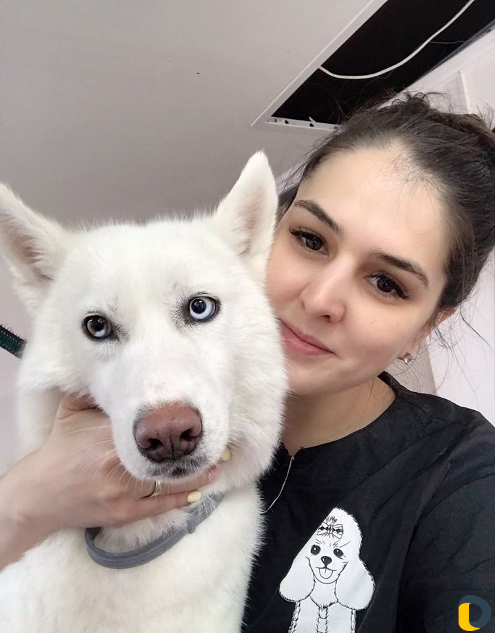 Груминг кошек и собак