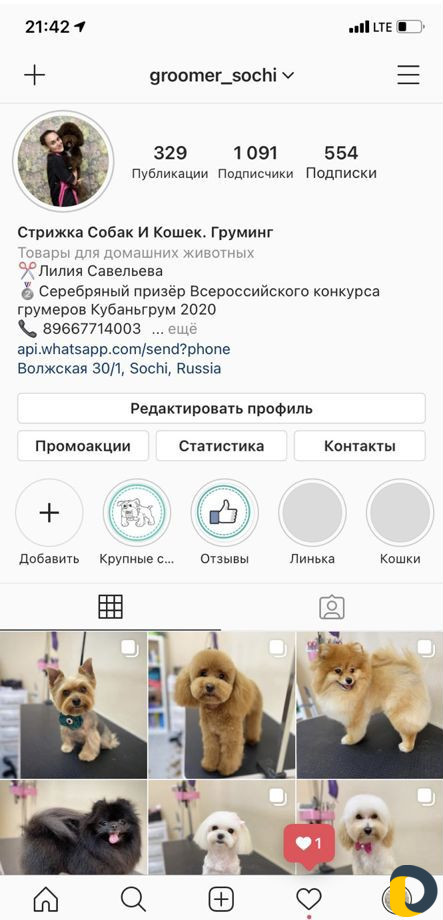 Груминг. Стрижка кошек и собак