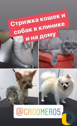 Груминг
