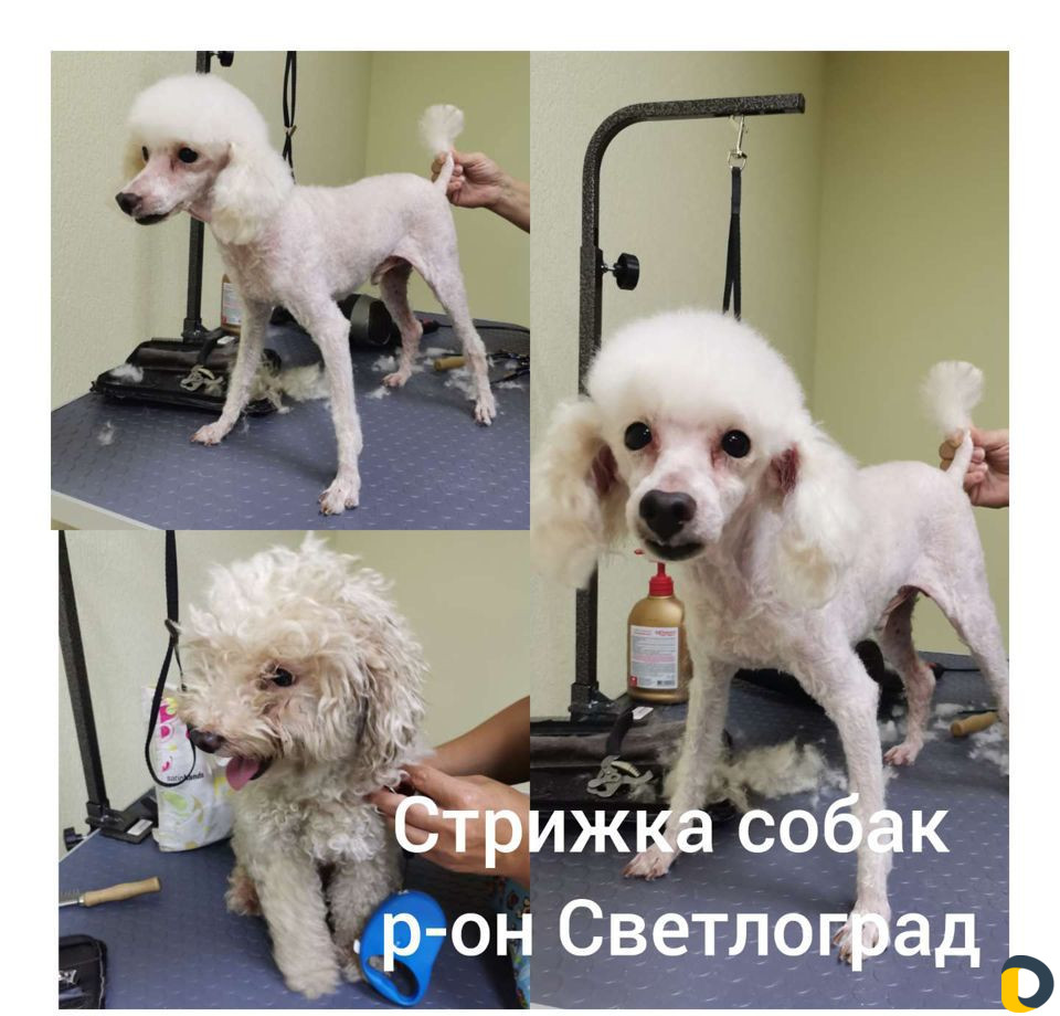 Груминг