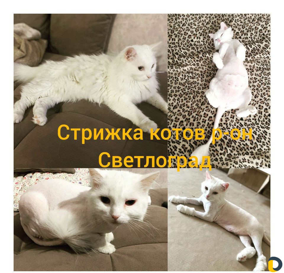Груминг