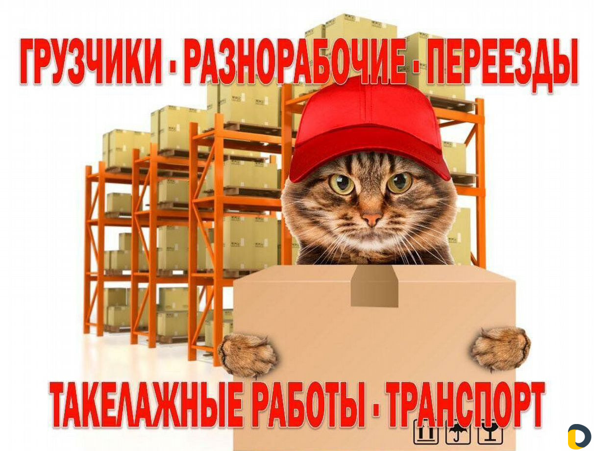 Грузчики и Разнорабочие