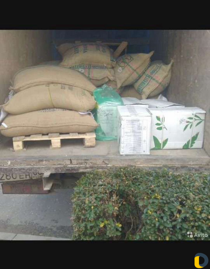 Грузчики на час грузчики грузоперевозки демонтаж