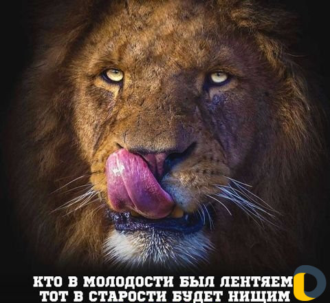 Грузчики - разнорабочие