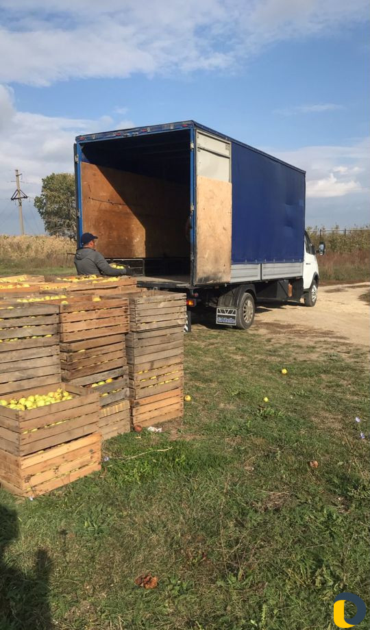 Грузоперевозки 5 метров Круглосуточно