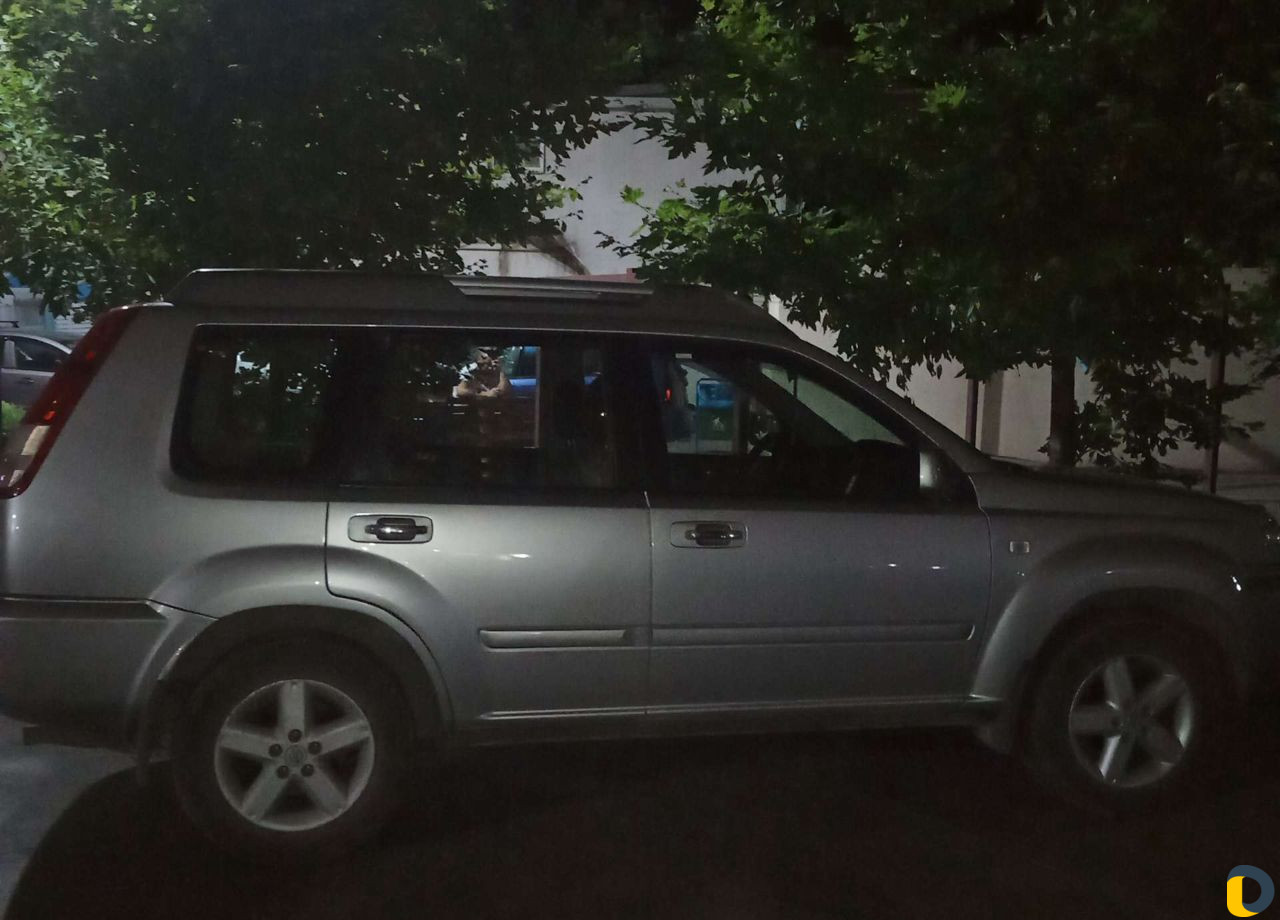 Грузоперевозки,доставка,курьер