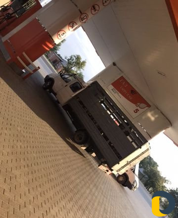 Грузоперевозки газель скотовоз