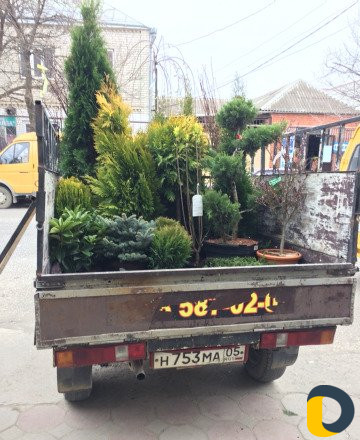 Грузоперевозки пикап в любую точку