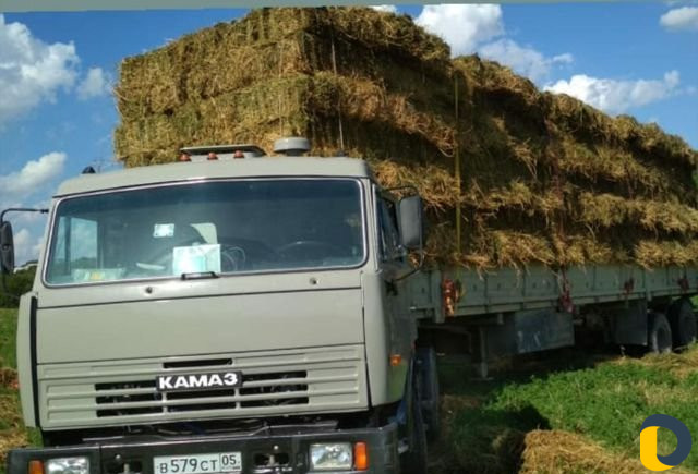 Грузоперевозки. Услуги камаз шаланда