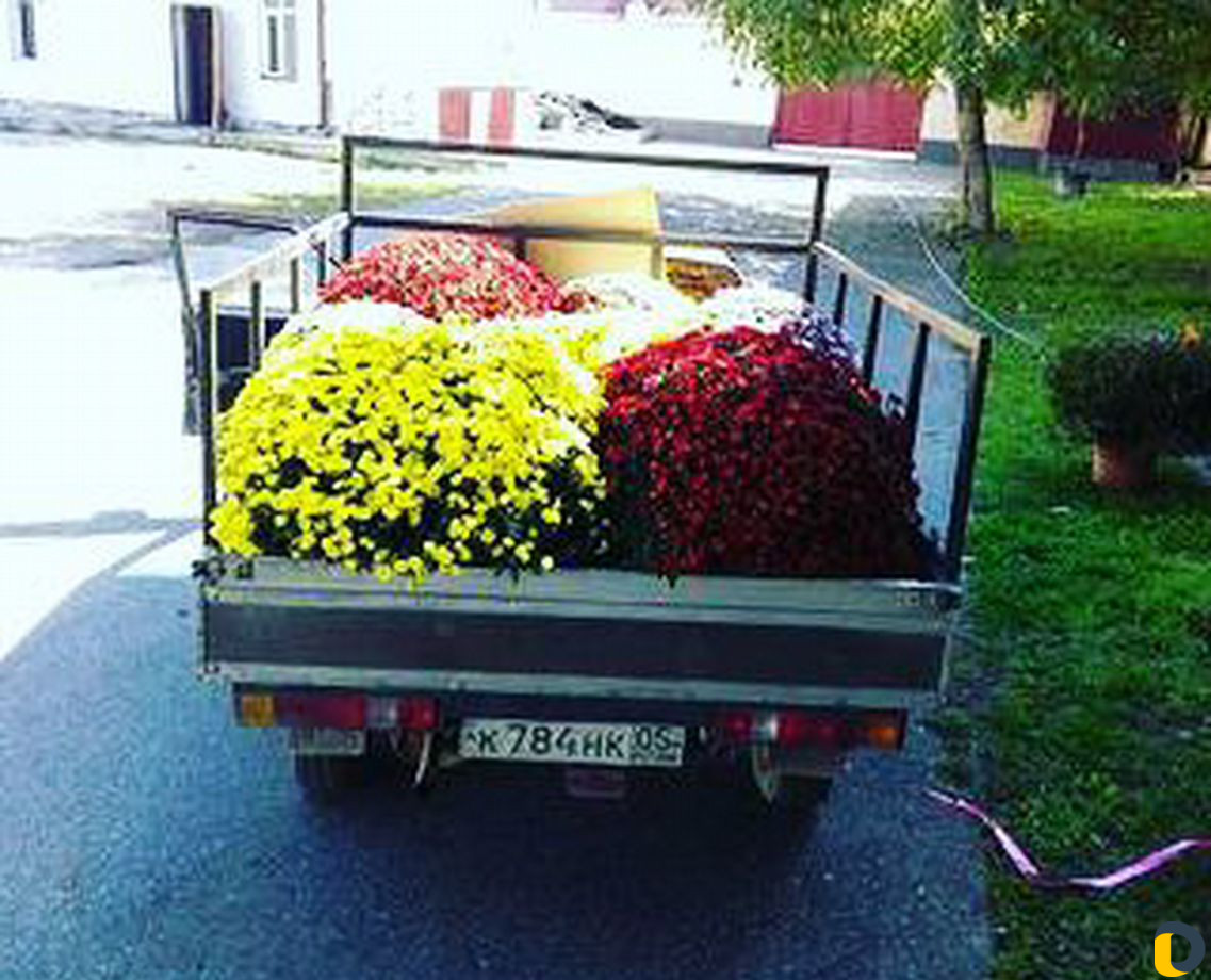 Грузоперевозки