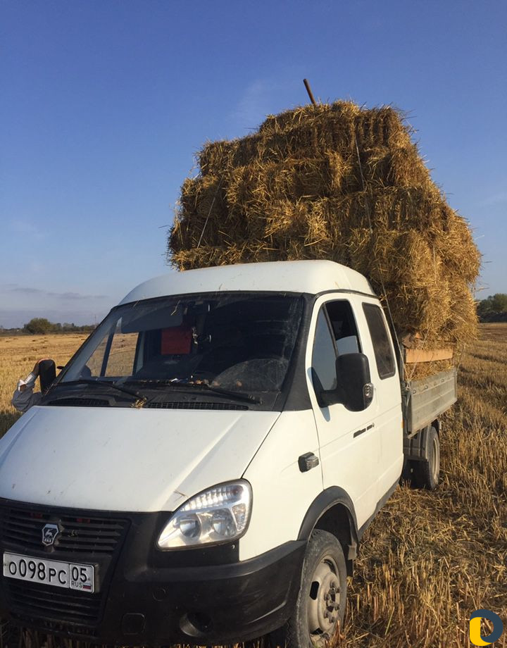 Грузоперевозки