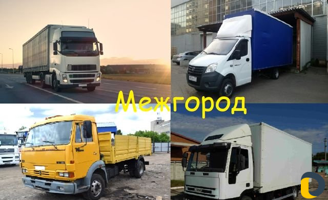 Грузоперевозки