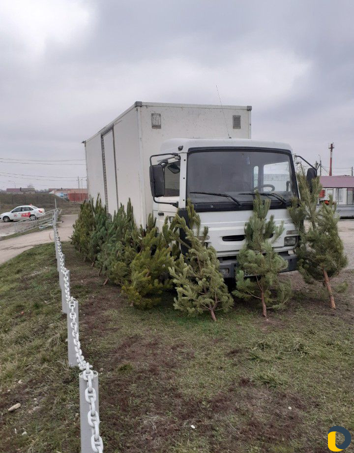 Грузоперевозки