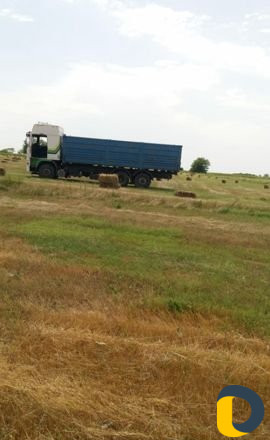 Грузоперевозки volvo f12