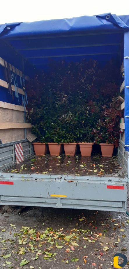 Грузоперевозки.заказ газели.трезвые грузчики