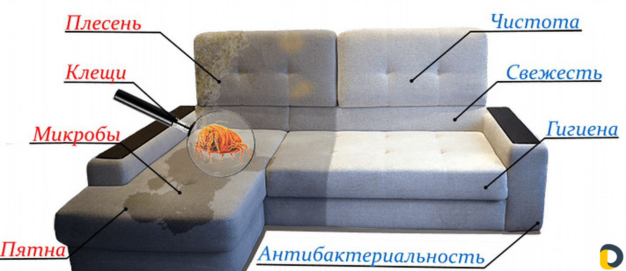 Химчистка дивана